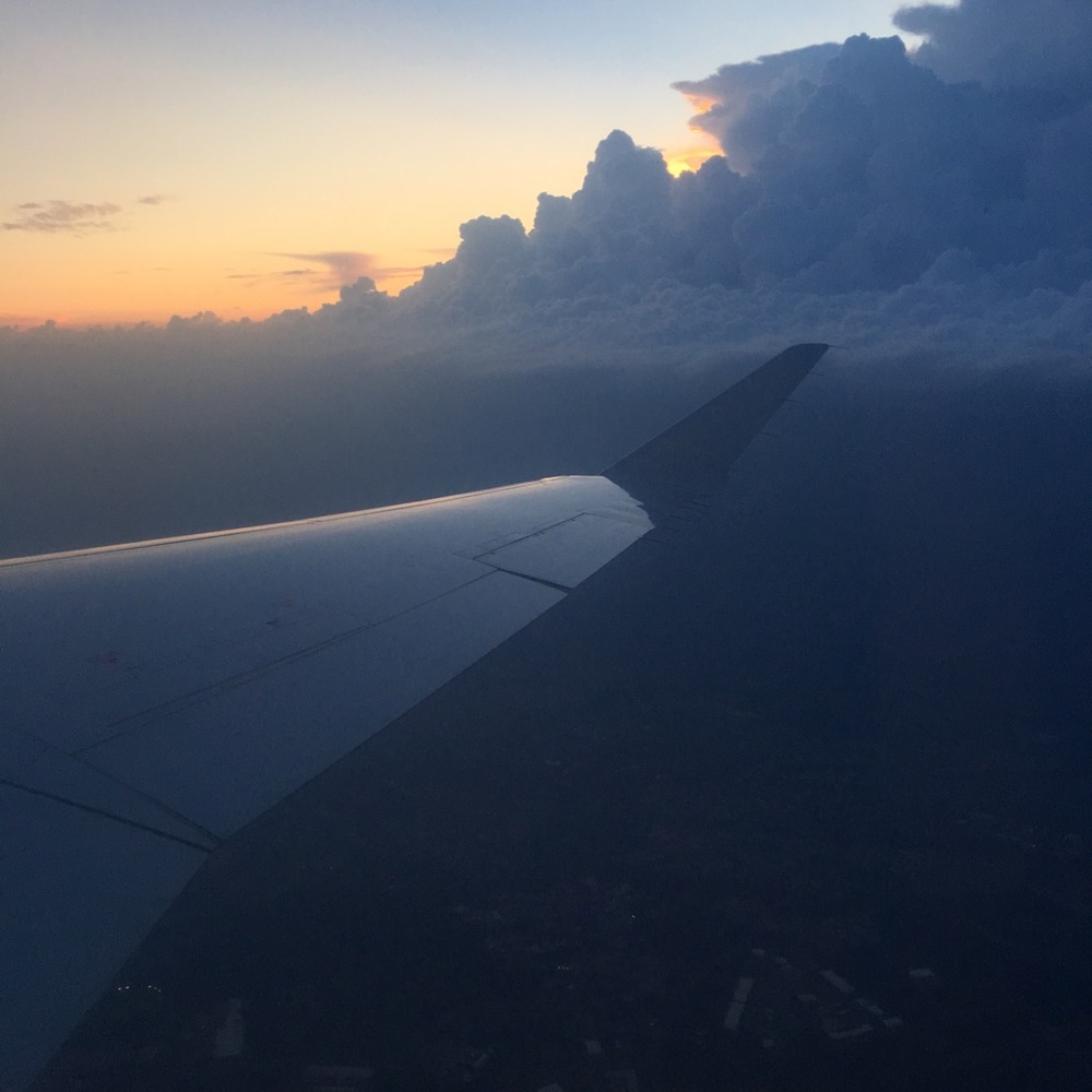 Meet your Posher, Taylee